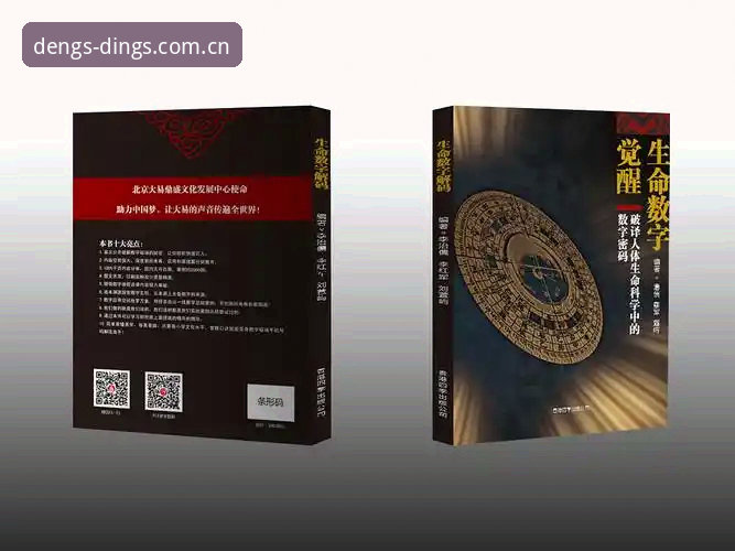 实战经验分享：鼎盛平台官网无法下载的解决方案与使用心得